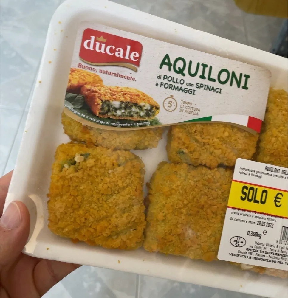 Aquiloni