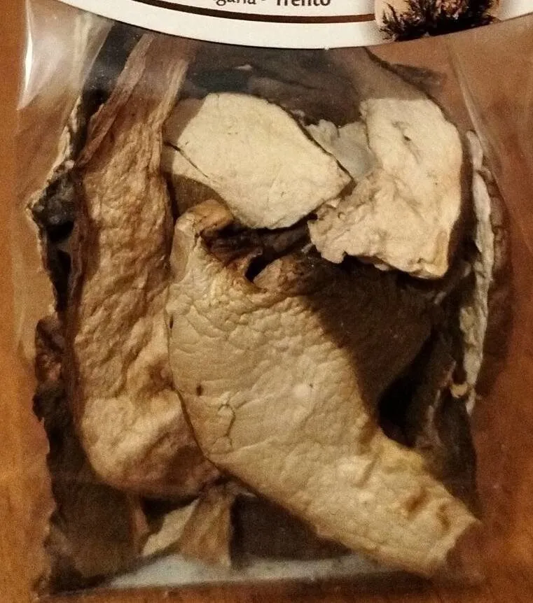 L'oro della montagna funghi porcini secchi