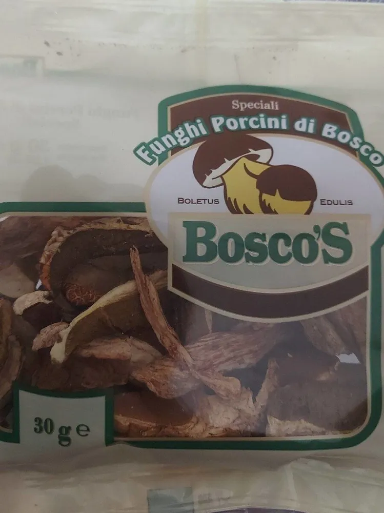 funghi porcini di bosco