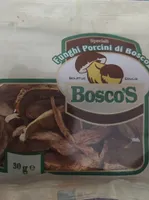 funghi porcini di bosco