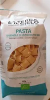 Maccheroncini