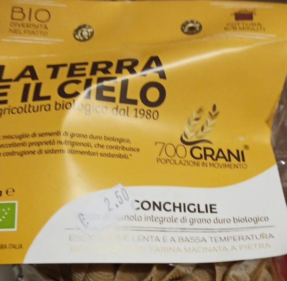 Conchiglie
