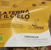 Conchiglie