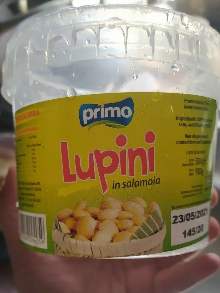 Lupini