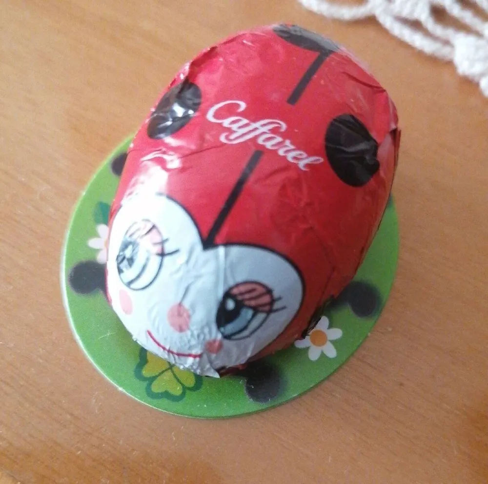 Coccinella di cioccolato al latte