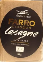 Lasagne di farro di cocco bio