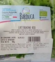 Lattughino bio