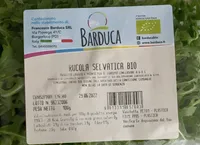 Rucola Selvatica Bio