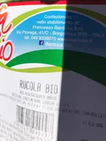 Salade roquette bio
