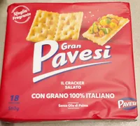 Gpav cracker salato pav 560 gr