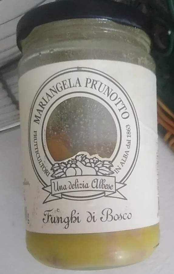 Funghi di bosco