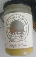 Funghi di bosco