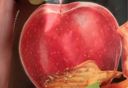 Fruit e Veg