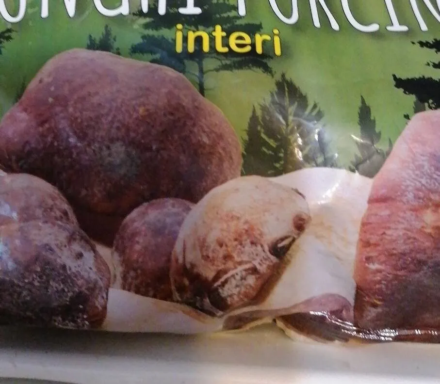 Funghi porcini interi