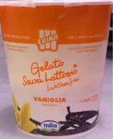 Gelato senza lattosio vaniglia