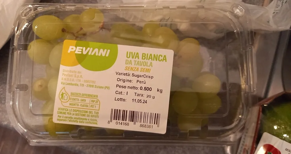 Uva bianca senza semi