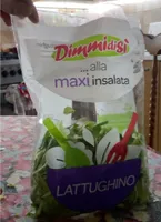 Lattughino