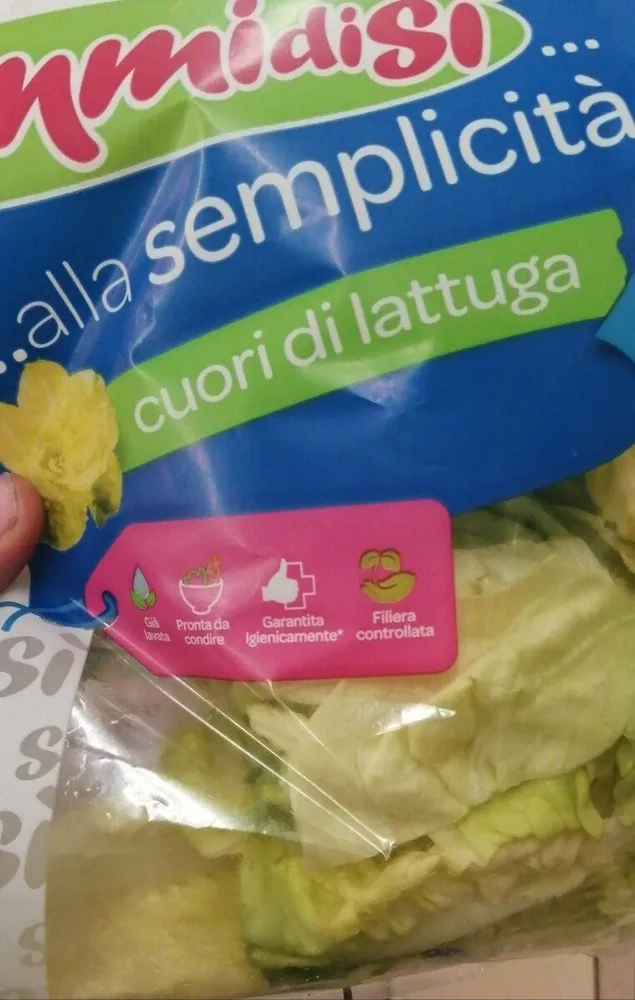 Insalata