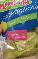 Insalata