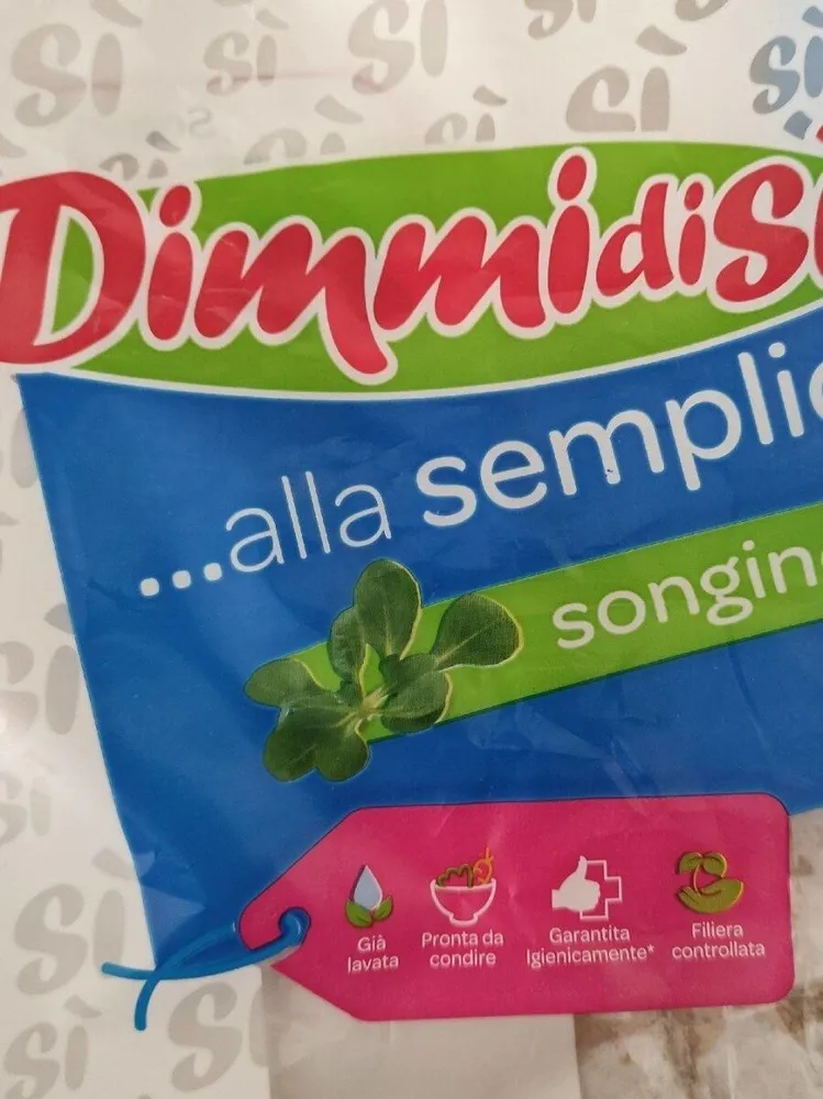 Songino
