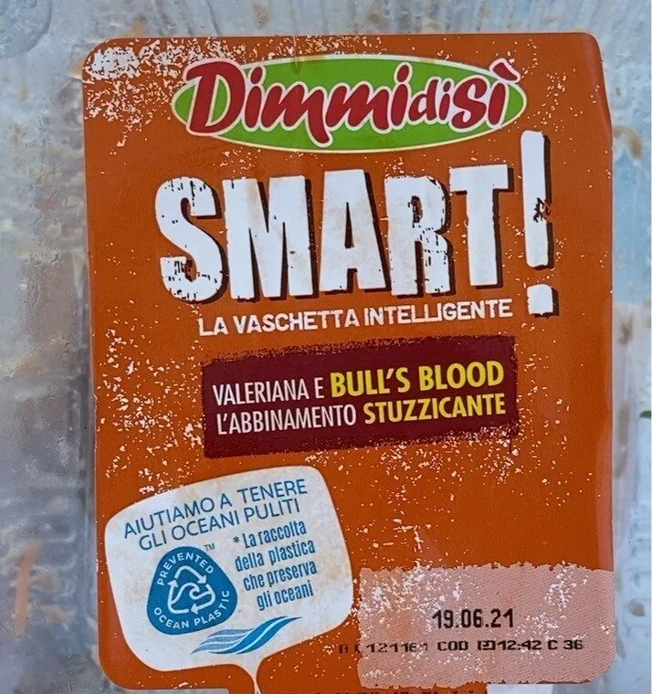 Insalata dimmidisi