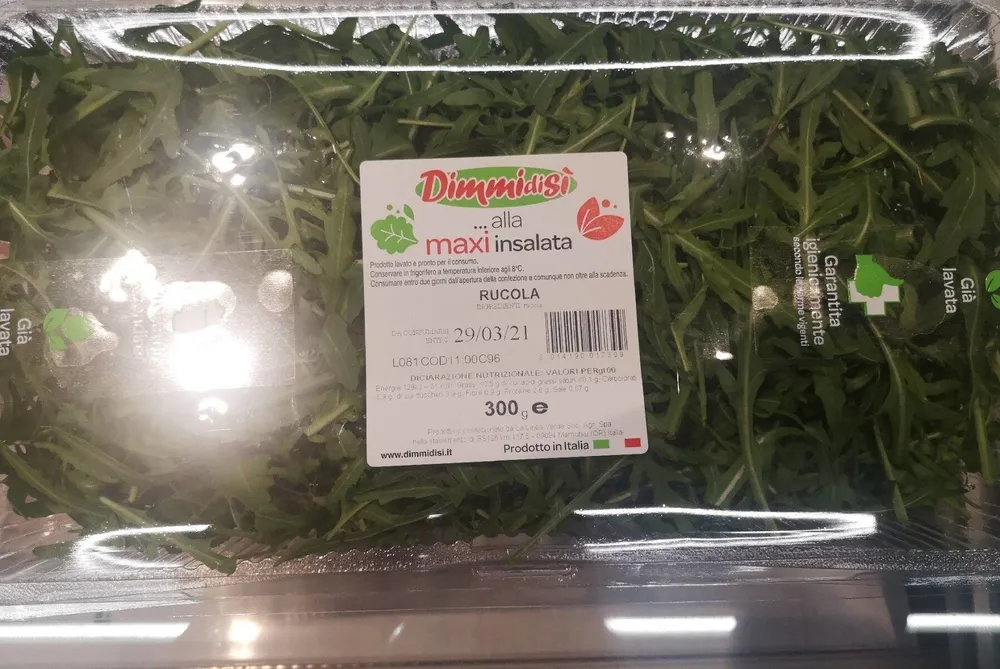 Rucola