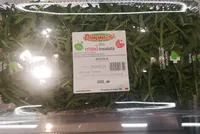 Rucola