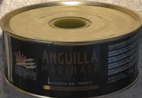 Anguilla marinata