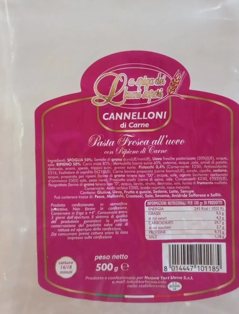Cannelloni di carne