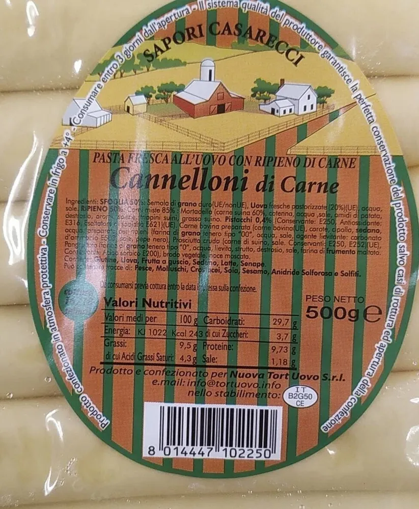 Cannelloni di carne