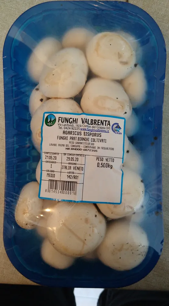 funghi prataioli bianchi coltivati