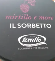 mure et mirtille sorbet