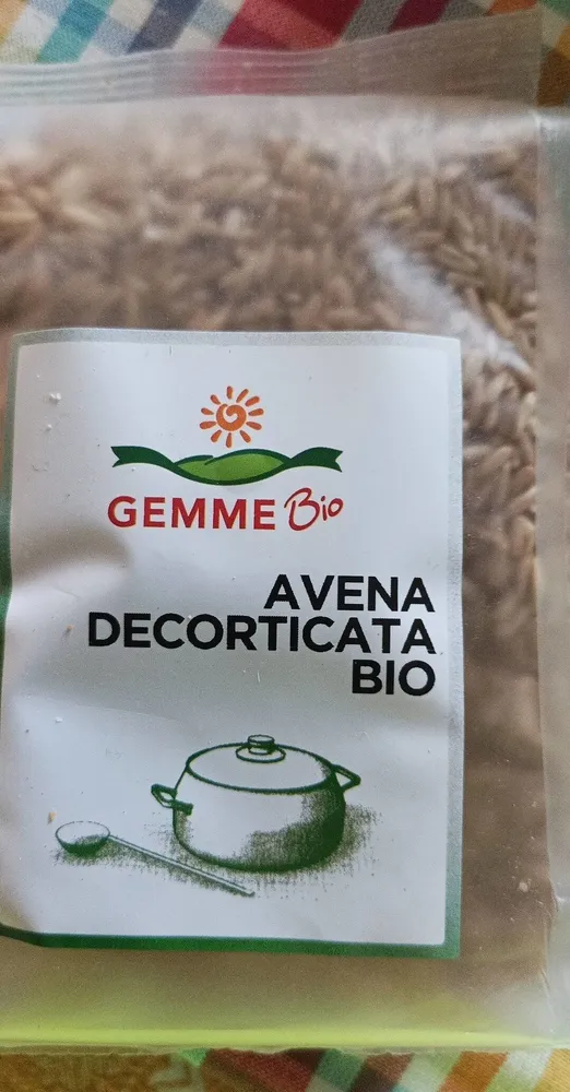 Avena decorticata
