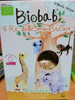 Rinocetti