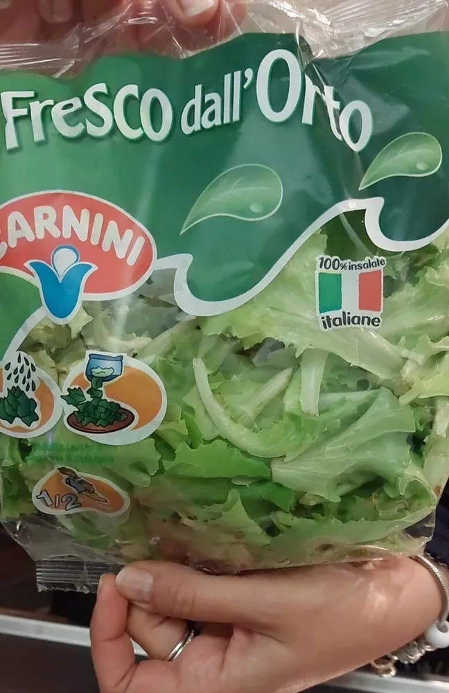 Lattughino