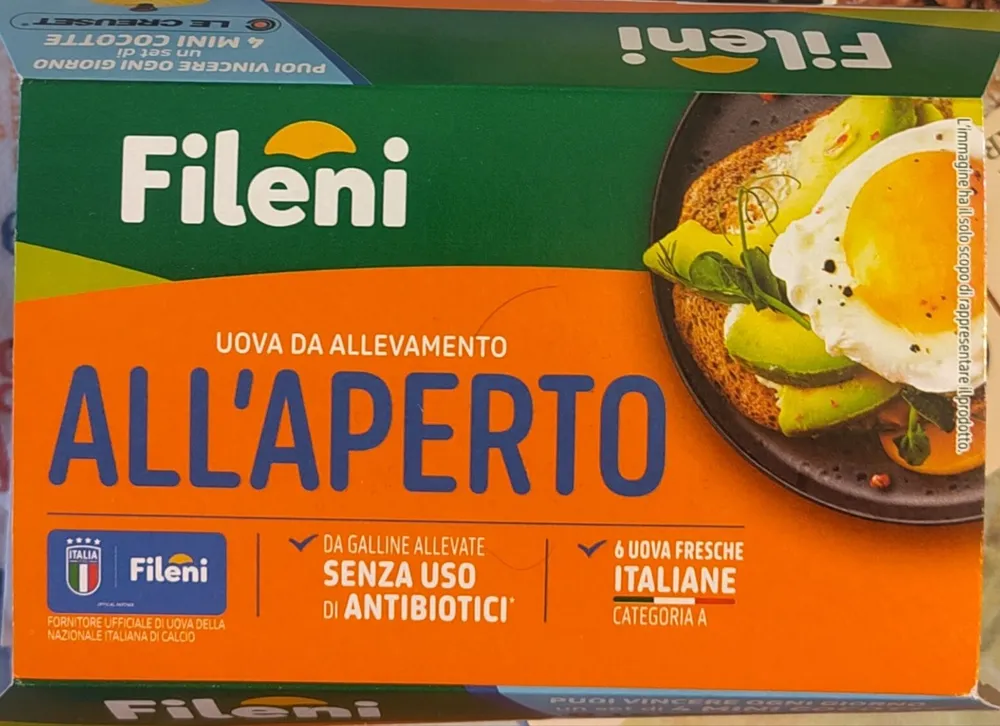 Uova da allevamento all'aperto