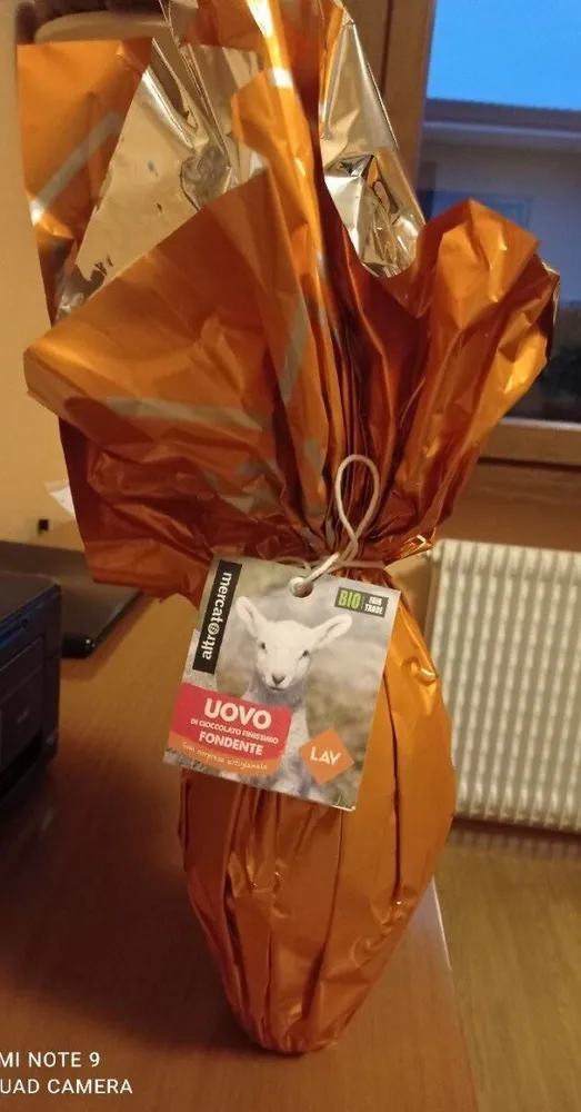 Uovo di cioccolato finissimo fondente