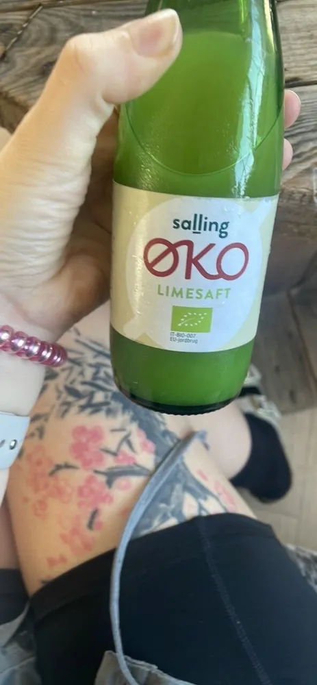 Ginger plus bio