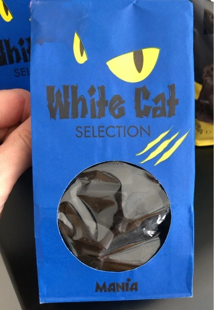 White cat