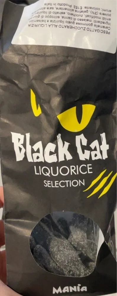 Black cat