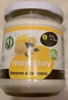 Mayo Soy limone e zenzero