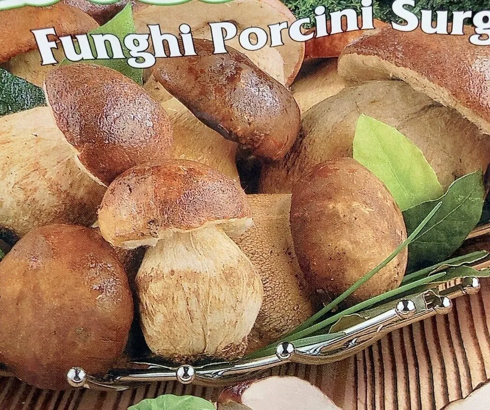Funghi porcini surgelati