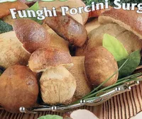 Funghi porcini surgelati