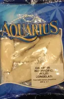 Calamari indopacifici puliti congelati