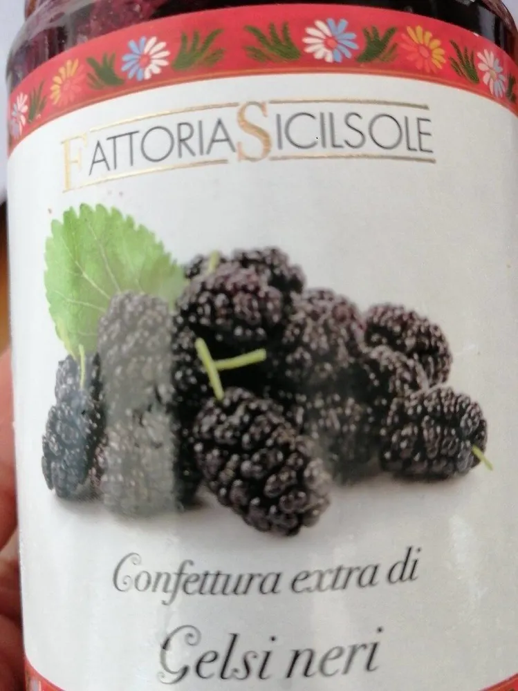 Confettura extra di gelsi neri