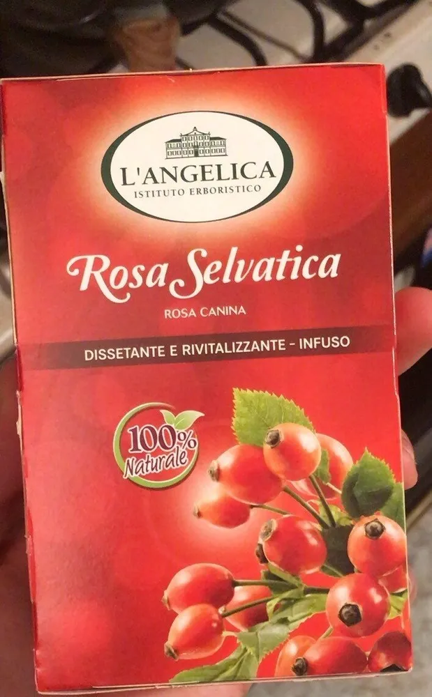 rosa selvatica