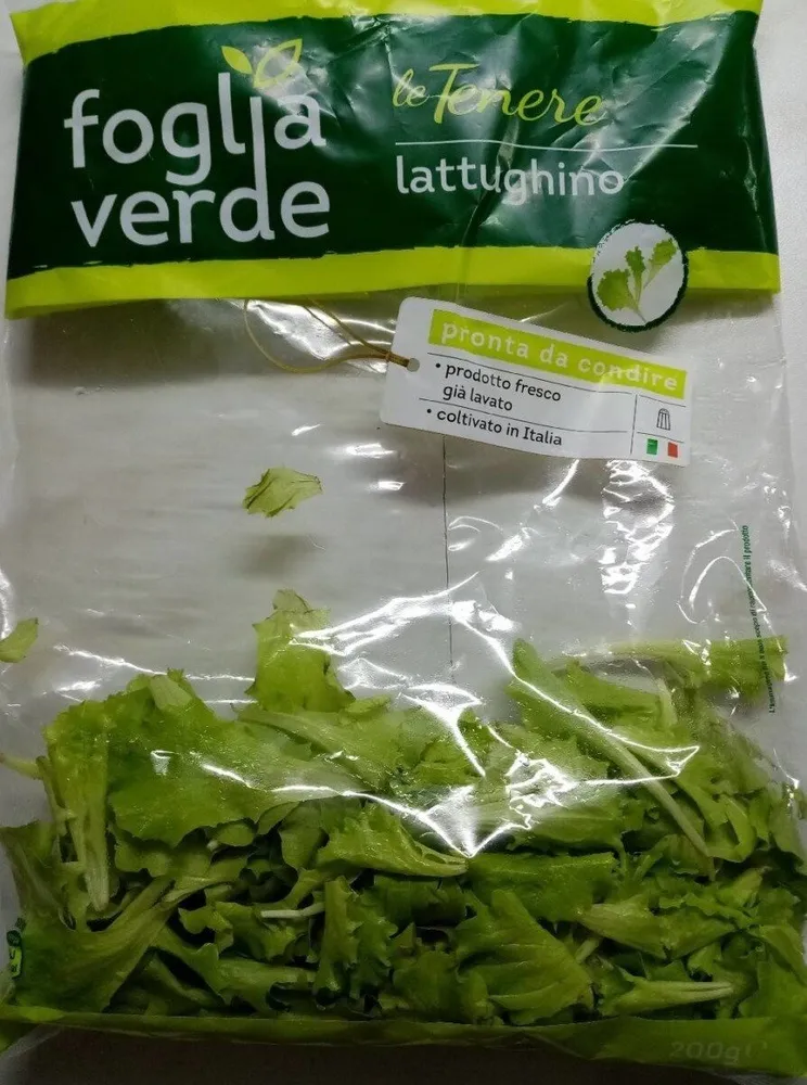 Lattughino