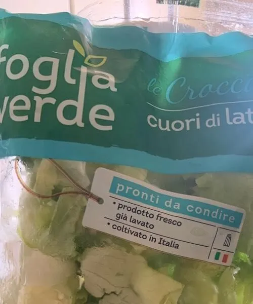 Cuori di lattuga foglia verde