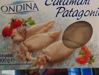 Calamari patagonici