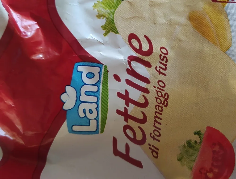 Fettine di formaggio fuso